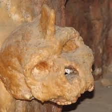 গ্রিসে আবিষ্কৃত রহস্যময় খুলি মানবজাতির নয়, বিলুপ্ত প্রজাতির