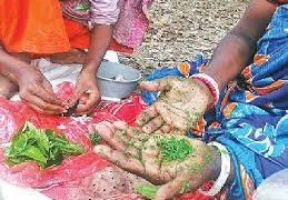 চা–শ্রমিকেরখাবার ‘পাতিচখা’