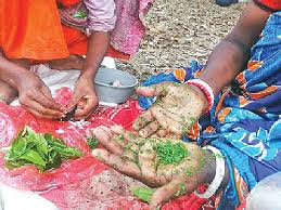 চা–শ্রমিকেরখাবার ‘পাতিচখা’