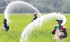 কোনো অবস্থাতেই সারের দাম বাড়বে না