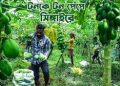 সবজি উৎপাদনে বিশ্বে তৃতীয় বাংলাদেশ