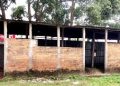 কক্ষ সংকটে ৭০ বছরের ঐতিহ্যবাহী শিক্ষা প্রতিষ্ঠান