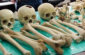 কঙ্কালের হাড় (এম এ ওয়াহাব)