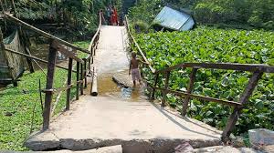 ভারী যান চলাচলে ধসে গেল ঝুঁকিপূর্ণ সেতু