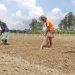 ক্ষতি পোষাতে আগাম আলু চাষ