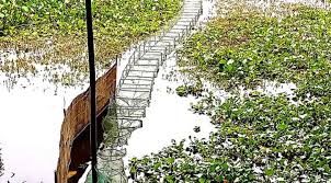 জলাশয়জুড়ে নিষিদ্ধ জাল নির্বিচারে মাছ শিকার