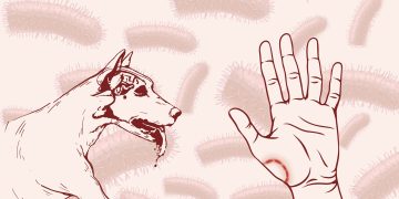 নতুন করে আতঙ্ক ছড়াচ্ছে প্রাণঘাতী জলাতঙ্ক