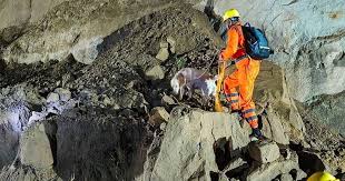 ভারতে পাহাড়ের ওপর থেকে পড়া পাথর চাপায় বাসের ১৮ যাত্রী নিহত