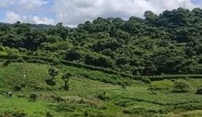 সীমান্তের ওপারে তীব্র গোলাগুলি