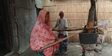 ঘানি টানা বৃদ্ধ স্বামী-স্ত্রীর পাশে তারেক রহমান