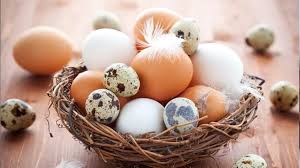 শিশুদের খাদ্য তালিকায় কোন ডিম নিরাপদ ও স্বাস্থ্যকর