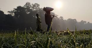 সারাদেশে তাপমাত্রা কমার আভাস