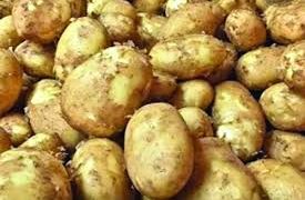 ঘোষণা দিয়েও আলু কেনেনি সরকার