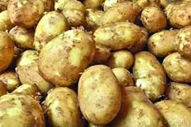 ঘোষণা দিয়েও আলু কেনেনি সরকার