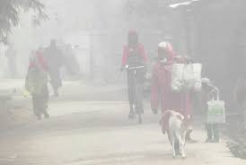 ক্রমেই বাড়ছে শীতের দাপট