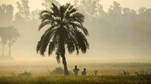 আসছে মৌসুমের প্রথম শৈত্যপ্রবাহ