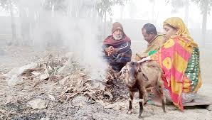 ফুলবাড়ীতে তীব্র শীতে কাঁপছে নিম্ন আয়ের মানুষ