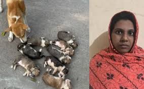 আসামি নিশি রহমানের জামিন