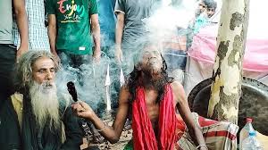 দেশে গাঁজাখোর ৬১ লাখ, মাদকসেবী বেশি ময়মনসিংহে