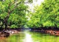 পর্যটক শূন্য সুন্দরবনের সাতক্ষীরা রেঞ্জ