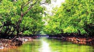 পর্যটক শূন্য সুন্দরবনের সাতক্ষীরা রেঞ্জ