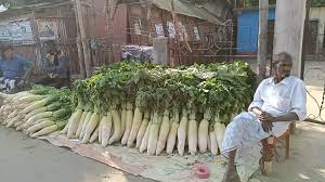 জাপানি মুলার আগাম বেচাকেনা