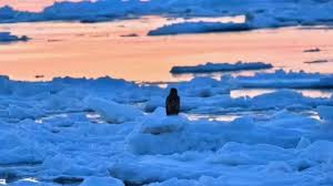 জমে বরফ বাল্টিক সাগর