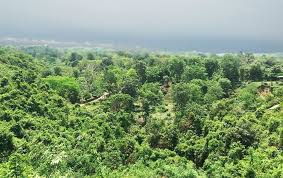 জঙ্গলে বন্যপ্রাণী, দুই পাড়ে ইলিশের ভাণ্ডার