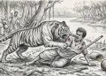 সুন্দরবনে বাঘের আক্রমণে মৌয়াল আহত