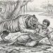 সুন্দরবনে বাঘের আক্রমণে মৌয়াল আহত
