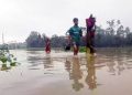 যমুনার বাঁধে ধস বাড়ছে পানি, বন্দি মানুষ