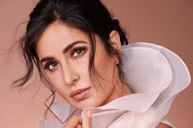 বসতেও শেখাতে হতো’, ক্যাটরিনাকে নিয়ে হাটে হাঁড়ি ভাঙলেন পরিচালক