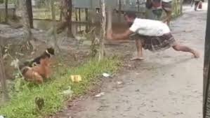 গাছে বেঁধে দুটি কুকুরকে পিটিয়ে হত্যা