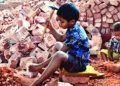 শিশু শ্রমিক বহুমাত্রিক নির্যাতনের শিকা