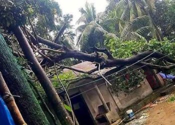ফেনীতে ৪০ সেকেন্ডের টর্নেডো লন্ডভন্ড পুরো গ্রাম