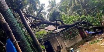 ফেনীতে ৪০ সেকেন্ডের টর্নেডো লন্ডভন্ড পুরো গ্রাম