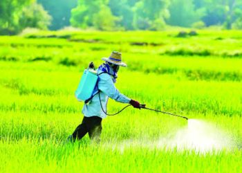 সারপ্রত্যাশী কৃষকদের হয়রানি চলছেই