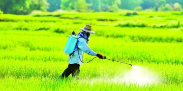 সারপ্রত্যাশী কৃষকদের হয়রানি চলছেই
