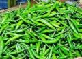 কাঁচা মরিচ আমদানির অনুমতি দিল সরকার