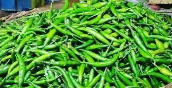কাঁচা মরিচ আমদানির অনুমতি দিল সরকার