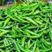 কাঁচা মরিচ আমদানির অনুমতি দিল সরকার