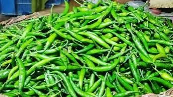 কাঁচা মরিচ আমদানির অনুমতি দিল সরকার