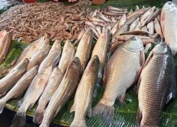 দেশি মাছের বাজার চড়া