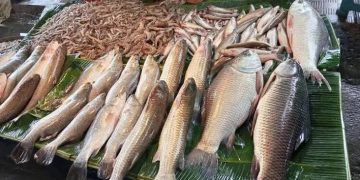দেশি মাছের বাজার চড়া