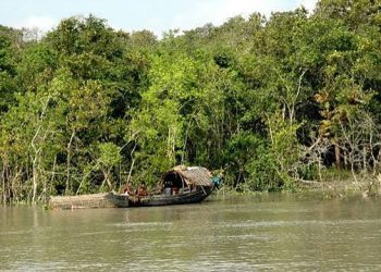 সুন্দরবনে দস্যুতা ফিরলেও ঘুমিয়ে র‌্যাব