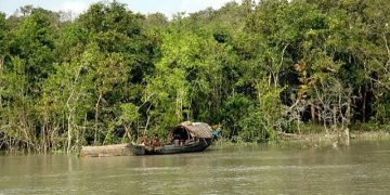 সুন্দরবনে দস্যুতা ফিরলেও ঘুমিয়ে র‌্যাব