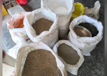 সরকারি দামে মিলছে না সার