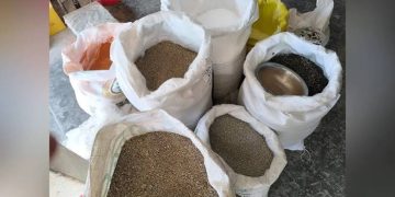 সরকারি দামে মিলছে না সার