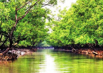 খুলে দেওয়া হচ্ছে বিশ্বের বৃহত্তম ম্যানগ্রোভ ফরেস্ট সুন্দরবন