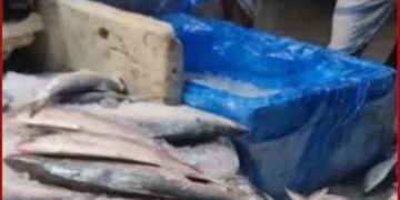 চাঁদপুরের আড়তে ইলিশের ছড়াছড়ি